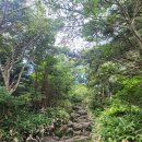 산천단 (제주의료원방면) | ㅣ제주 여행ㅣ남한 최고봉 한라산 성판악 및 관음사 코스 후기 '열두살 꼬맹쓰 초딩과 등산 성공기'