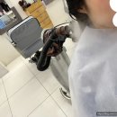 이철헤어커커 영등포문래점 이미지