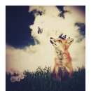 여우만들기 이미지