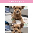 태민동물병원 이미지