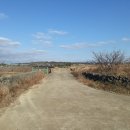 신도리-8 이미지