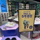 바운스백&라인드 이미지