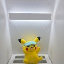 LG가전에 4000만원 태운 VIP가 추천하는 스타일러 1년 후기 (feat. 5벌+바지관리+스팀)