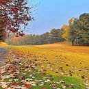 뉴코리아 이미지