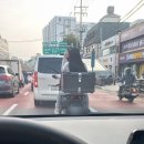 고삐리둘 이미지