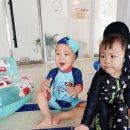 차차네 이미지