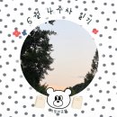 마스터스포츠사 | 6월 4주차 일기 : 내가 나라서 너무 좋다!