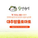 참견쟁이 대추방울토마토 솔직후기｜다이어트 식단 추천 방울토마토 샐러드 레시피🍅