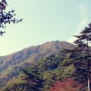 [경남/합천 등산] 첩첩산들이 이루는 수묵화, 합천 오도산에서 편하게 바라보자! 이미지