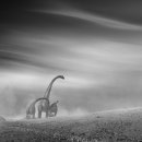 옛날 옛적에 이미지