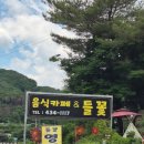 도사곡길 | 홍천여행 반려동물 동반 한정식 추천 음식카페들꽃