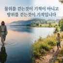 인간의 욕망 이미지
