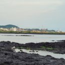 우도별이네 민박 이미지