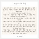 왁싱ON 네이버블로그