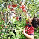 곡성-110 이미지