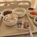 (주)영화의료기 | 양지병원 비만대사수술(위절제) 후기