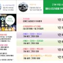 엘비타운