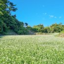 동광리-14 이미지