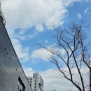 해유리키즈아트