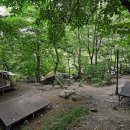 국립지리산자연휴양림 티스토리