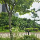 퍼스트푸릇 이미지