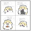 자이글(주) | [먹기록]11월 둘째 주 먹부림 결산🐽!