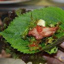 산천오리 이미지