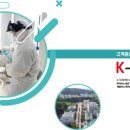 케이(K)방역