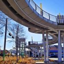 청주가로수길 이미지