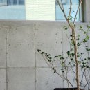 갓샷(Godshott) 이미지