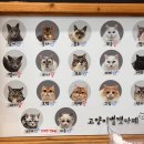 고양이별 캣 카페 이미지