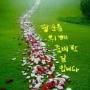 당신만을 위한 길 이미지