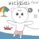 서퍼랜드 이미지