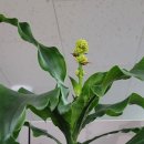 태평양공인중개사무소 이미지