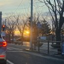 2026.1.28 제주