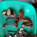 진안읍 1390 이미지