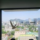 덕수궁커피