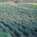 양달농장 이미지