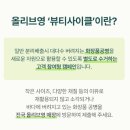 올리브영 뷰티사이클 - 올영 공병 수거 프로그램 참여하고 2,000원 할인 쿠폰 받자