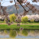 죽도봉공원 이미지