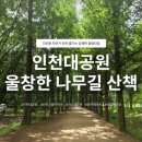다인도시락 | 인천 아이와 가볼만한곳, 다인용 자전거 타기 좋은 인천대공원 나들이 후기