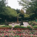 사려니숲길 쉐어하우스 이미지