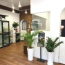 벨루스독 이미지