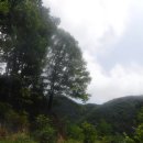 가산천 | 전국일주 [061] - 충북 옥천군 금강휴게소, 말티고개, 탑산임도, 둔주봉, 도율리임도, 은운리임도...