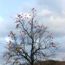 영동군_문화체육센터 이미지