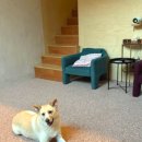 스키여행펜션 이미지