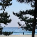 모라포장마차 | 강릉 1박2일 여행 (무계획 but 꿀잼인) : 강릉칼제비, 하월당, 게하 파티