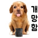 혁신도장 이미지