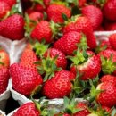 딸기약국 이미지