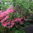 신례동로 이미지